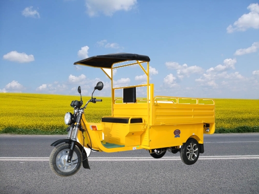 E-Tri-Cycle (E-Rickshaw)